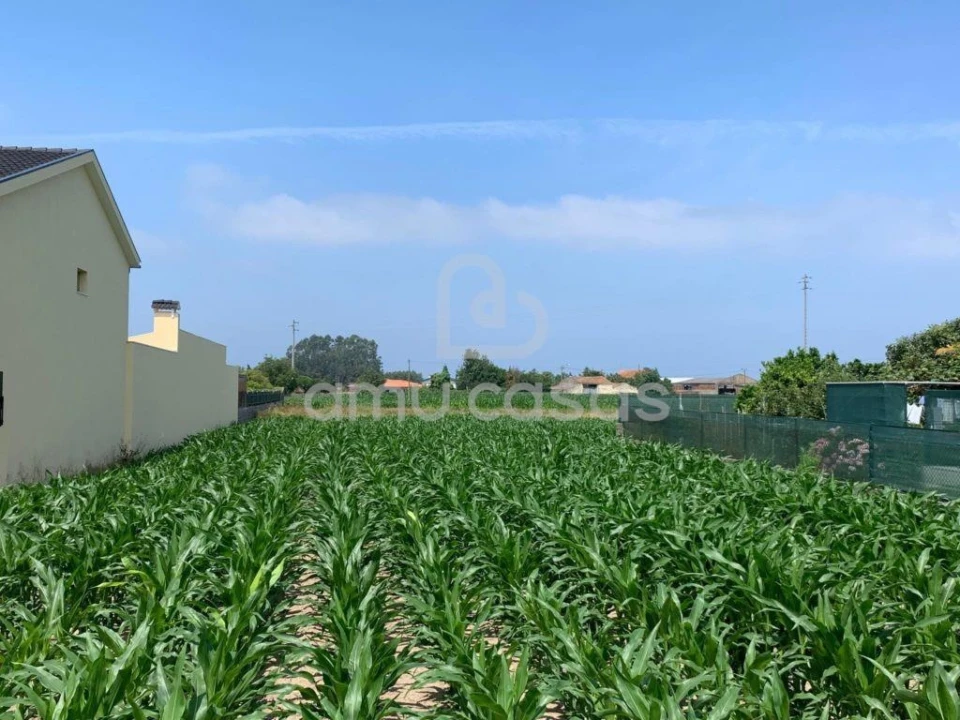 Terreno para Venda em Bunheiro Foto 3