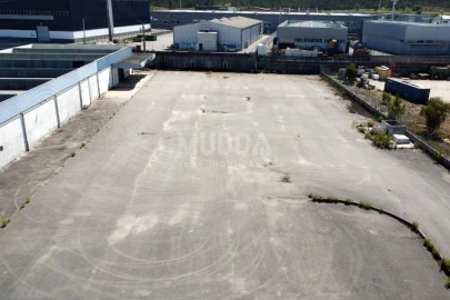 Armazém para Arrendamento em Oiã