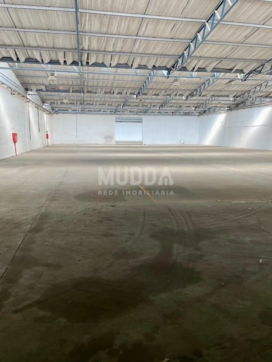Armazém para Arrendamento em Oiã Foto 2