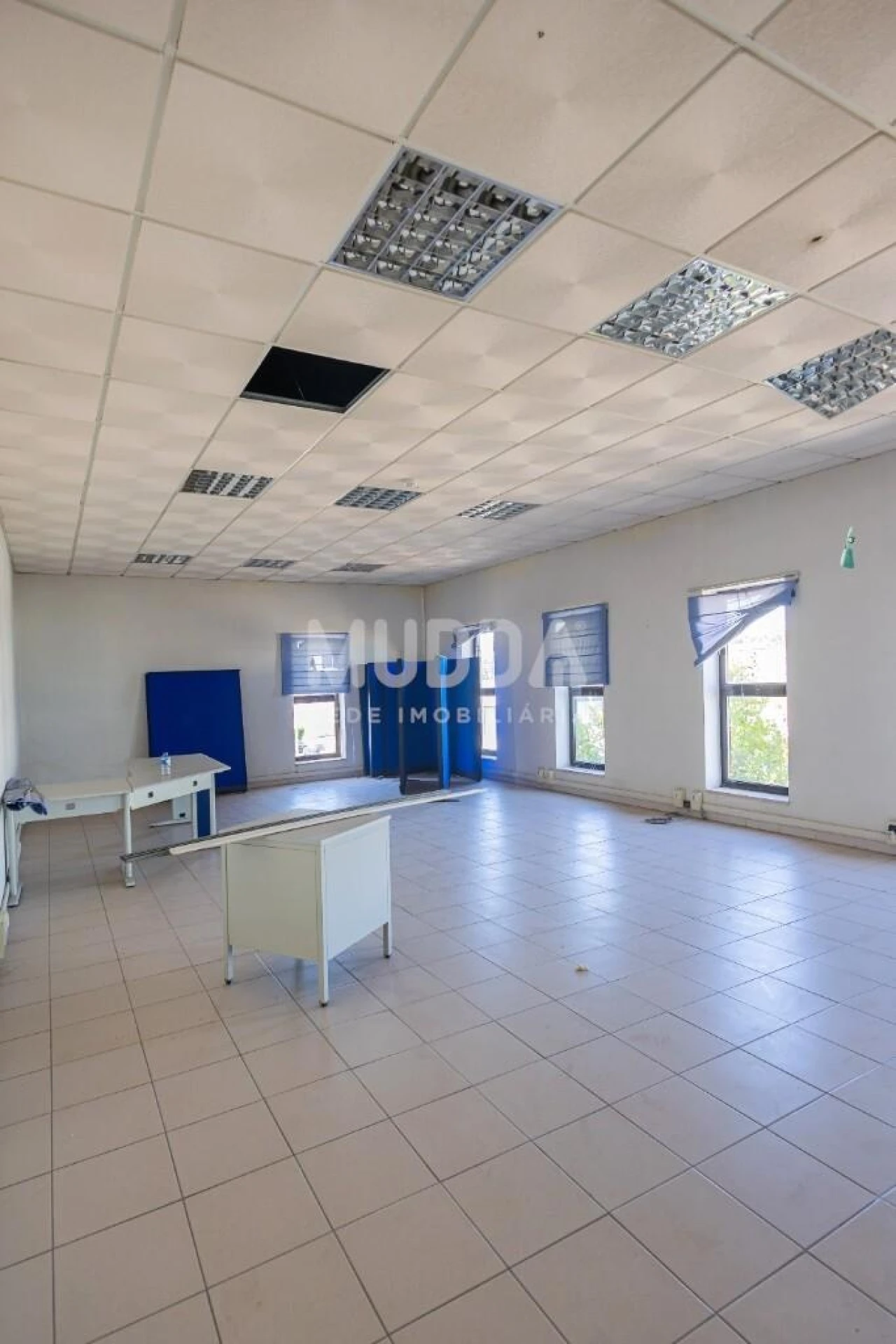 Armazém para Arrendamento em Oiã Foto 38
