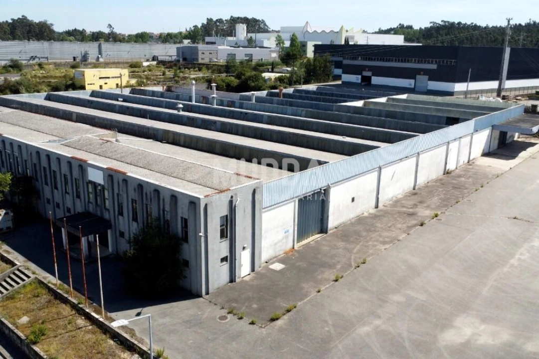 Armazém para Arrendamento em Oiã Foto 7