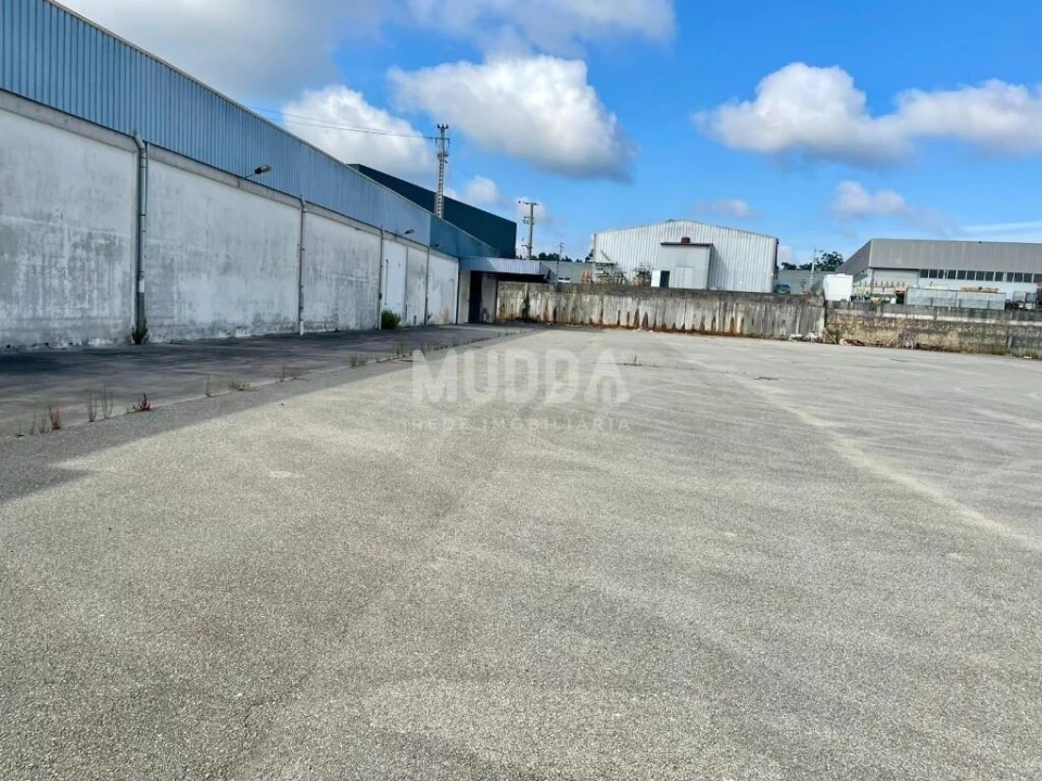 Armazém para Arrendamento em Oiã Foto 5