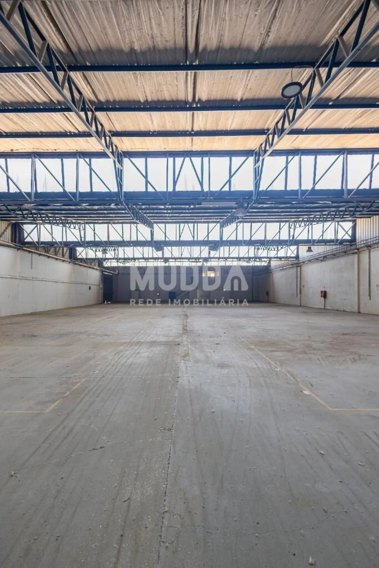 Armazém para Venda em Oiã Foto 22