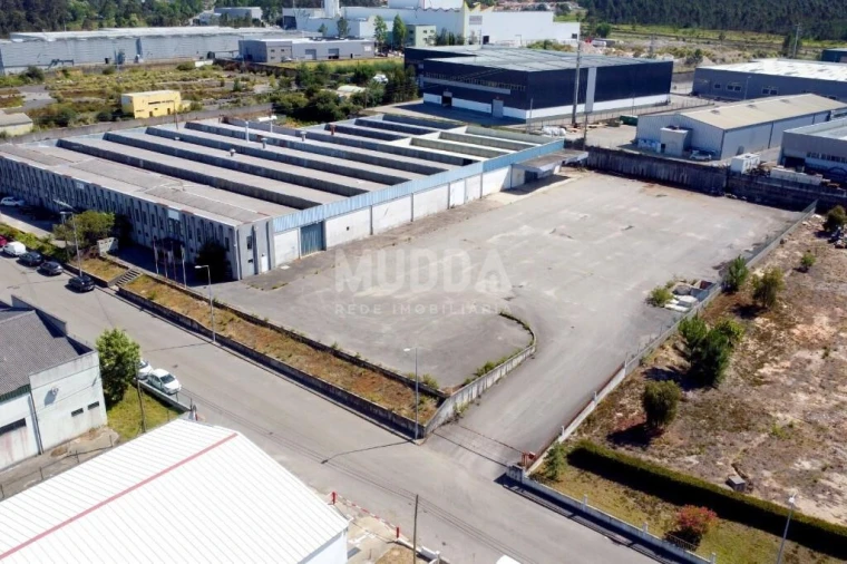 Armazém para Venda em Oiã Foto 2