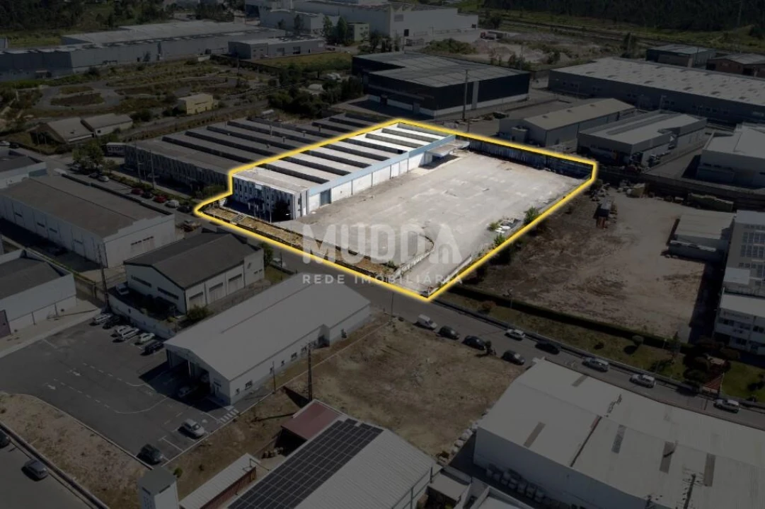 Armazém para Venda em Oiã Foto 3