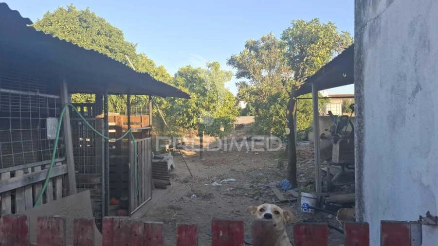 Moradia T3 para Venda em Alpiarça Foto 13