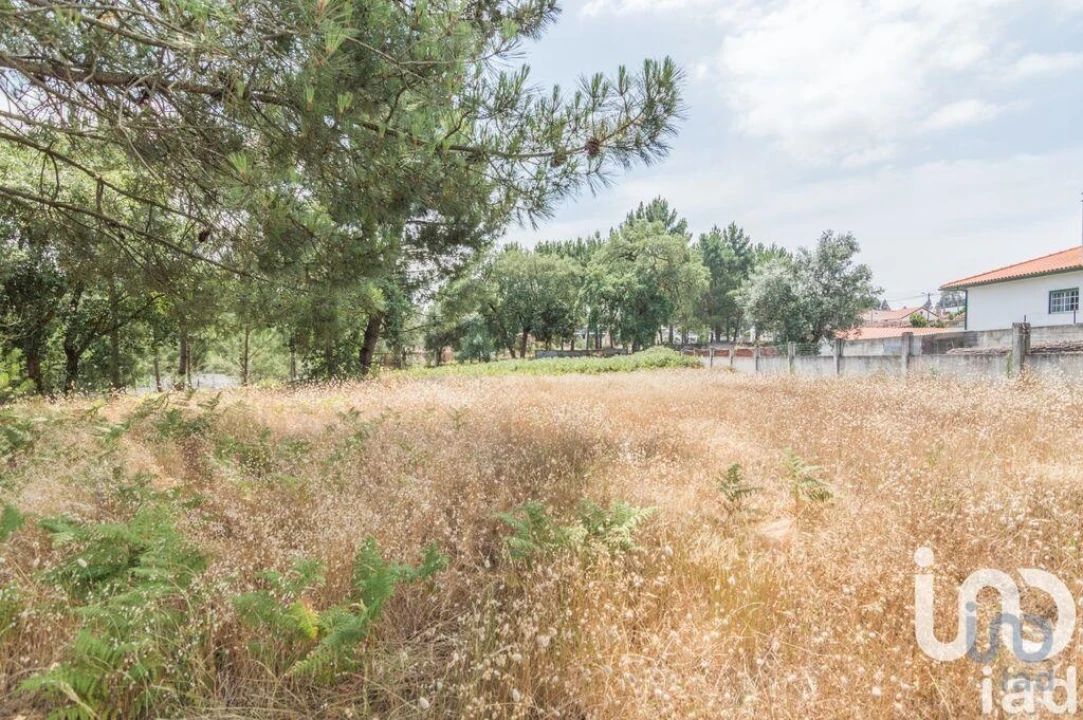Terreno para Venda em Marinha Grande Foto 3