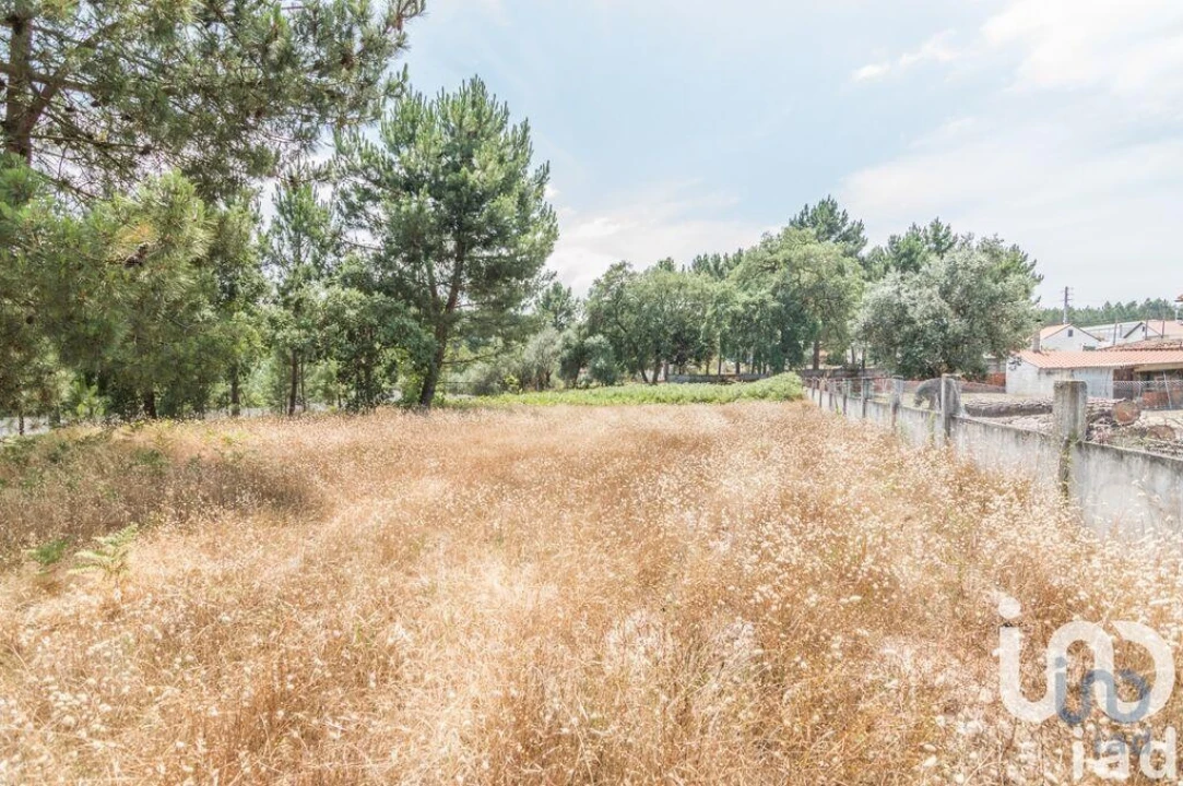 Terreno para Venda em Marinha Grande Foto 4