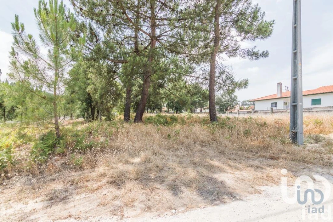 Terreno para Venda em Marinha Grande Foto 1