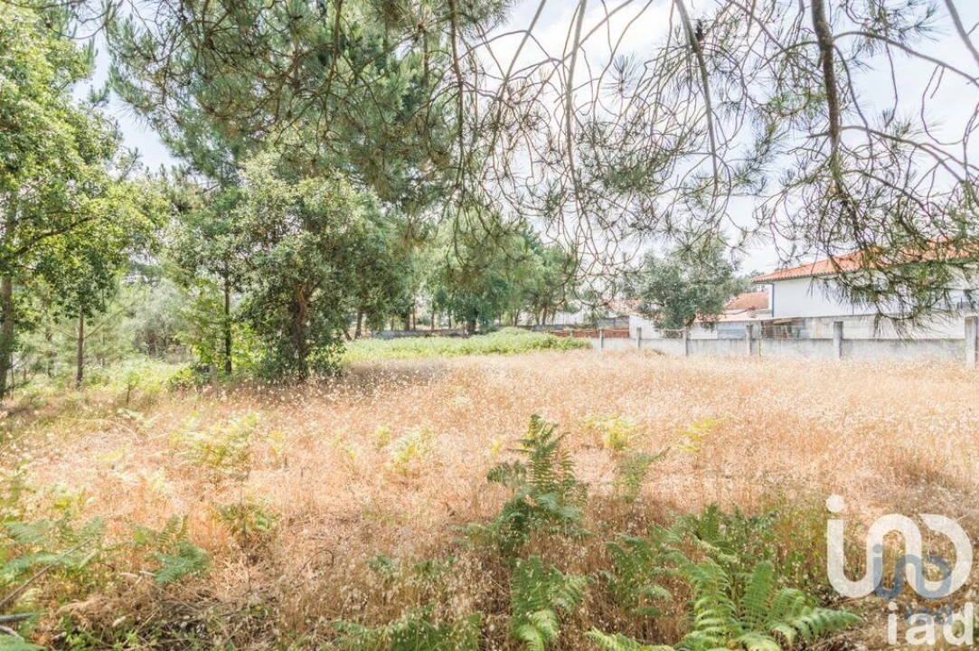 Terreno para Venda em Marinha Grande Foto 2