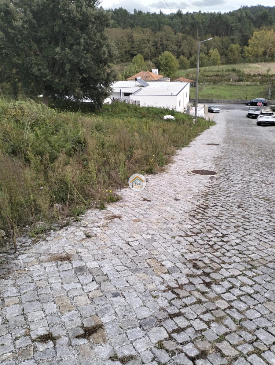 Terreno para Venda em Meinedo