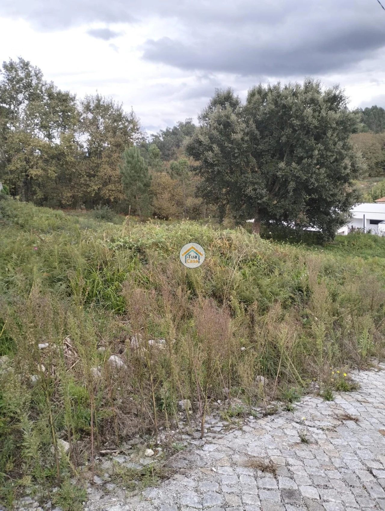 Terreno para Venda em Meinedo Foto 4