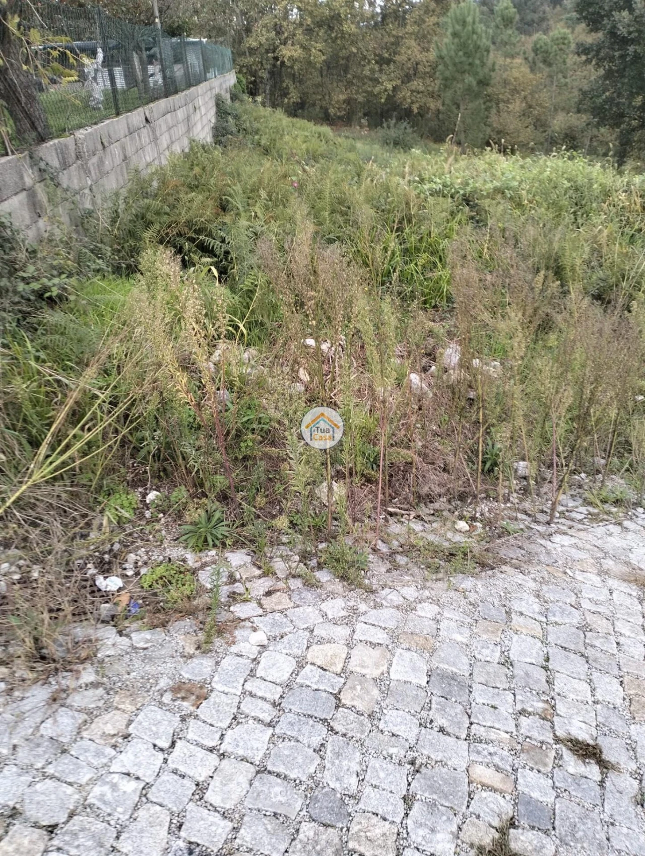 Terreno para Venda em Meinedo Foto 5