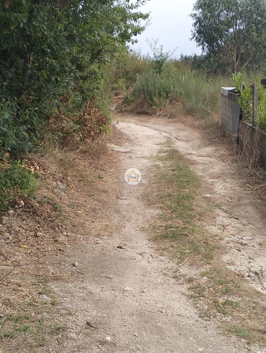 Terreno para Venda em Meinedo Foto 6