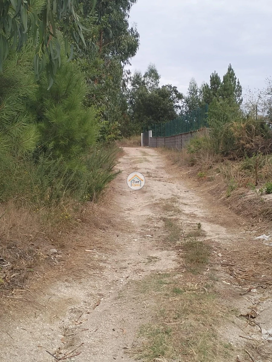 Terreno para Venda em Meinedo