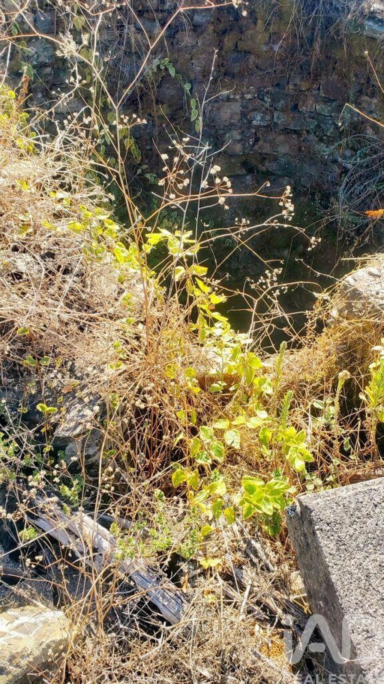 Moradia T4 para Venda em Cardigos Foto 24