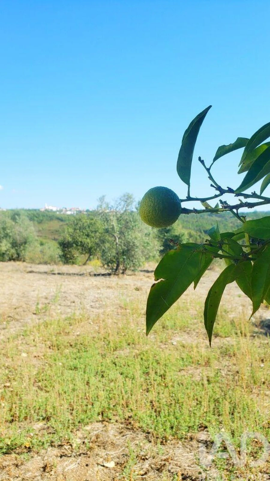 Moradia T4 para Venda em Cardigos Foto 21