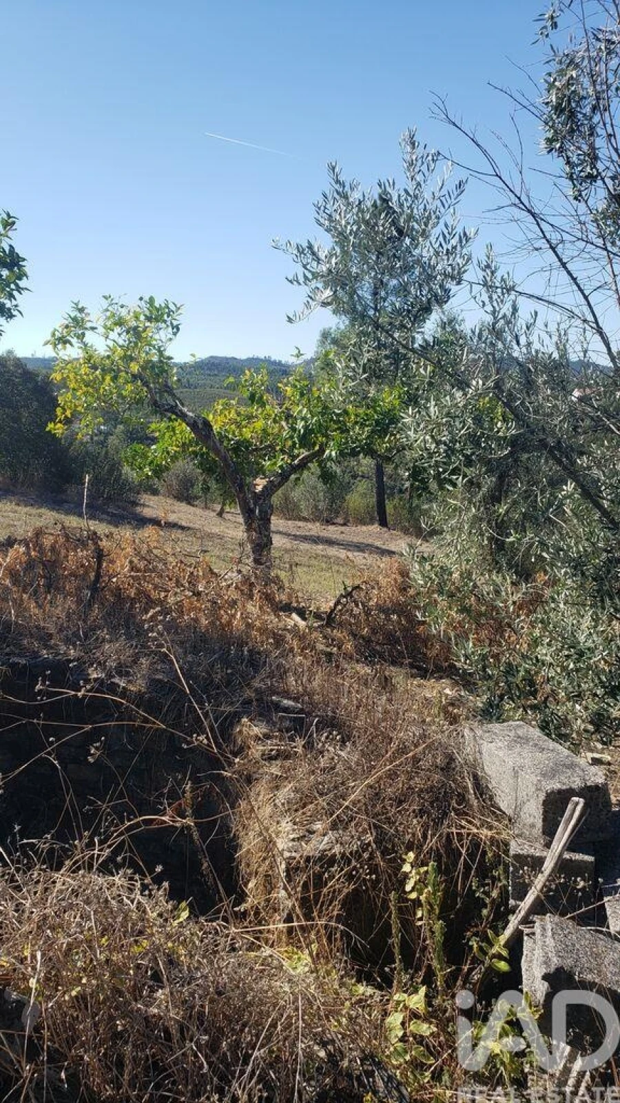 Moradia T4 para Venda em Cardigos Foto 25