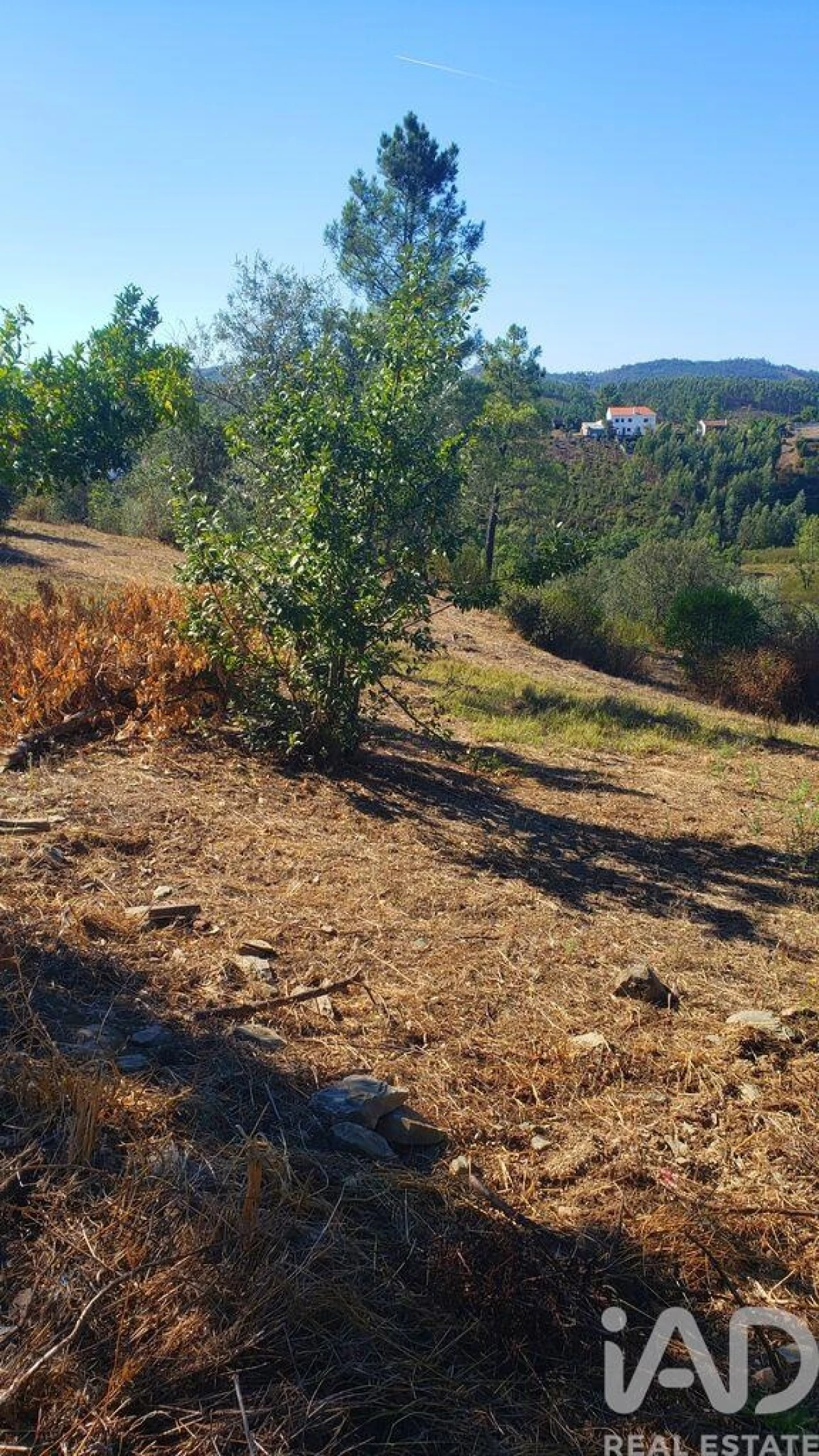 Moradia T4 para Venda em Cardigos Foto 26