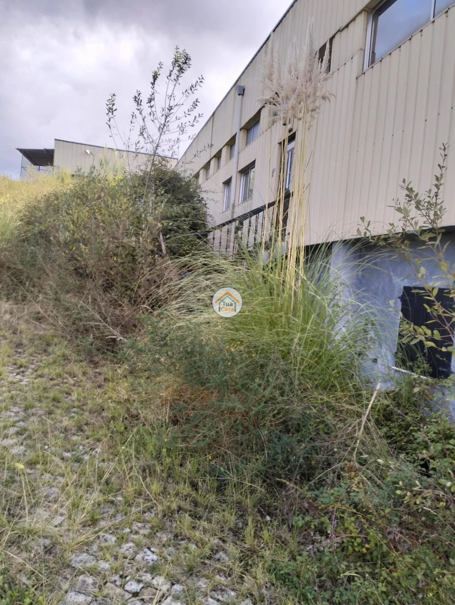 Armazém para Venda em Cernadelo e Lousada (São Miguel e Santa Margarida) Foto 5
