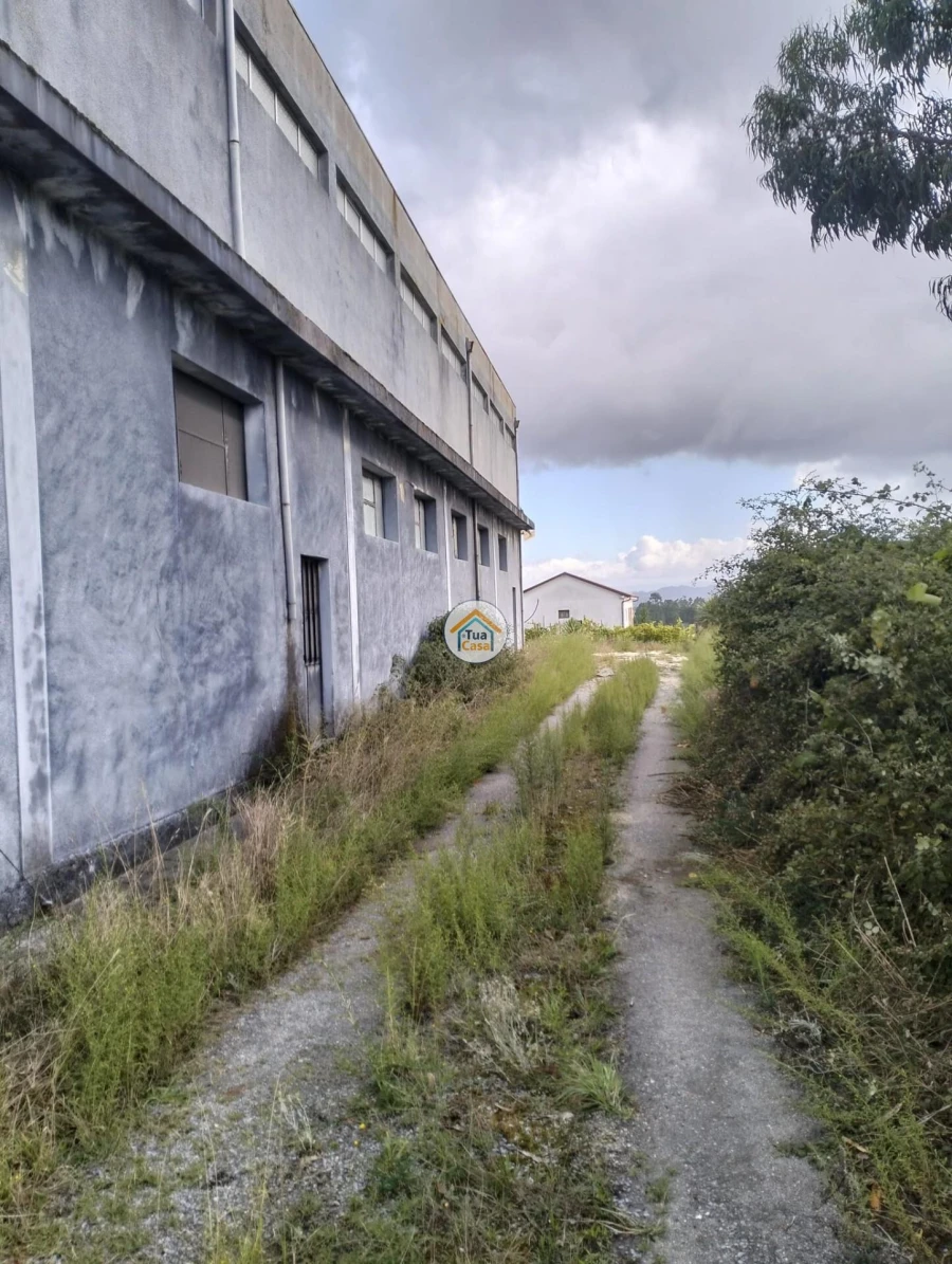 Armazém para Venda em Cernadelo e Lousada (São Miguel e Santa Margarida) Foto 4