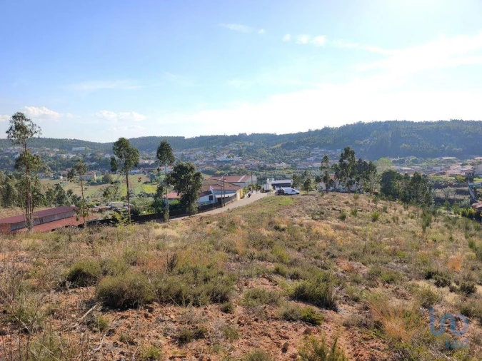 Terreno para Venda em Vila Nova de Monsarros Foto 6