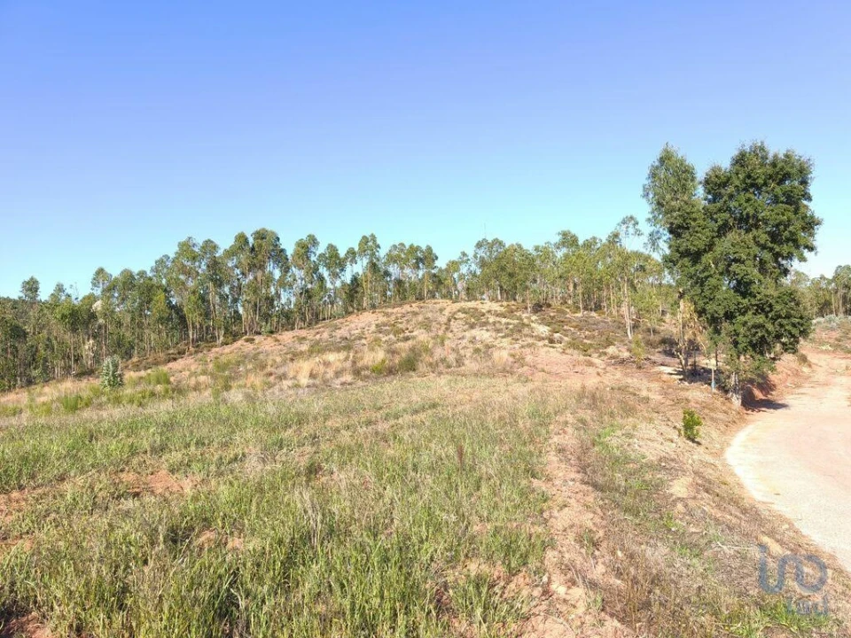 Terreno para Venda em Vila Nova de Monsarros Foto 8
