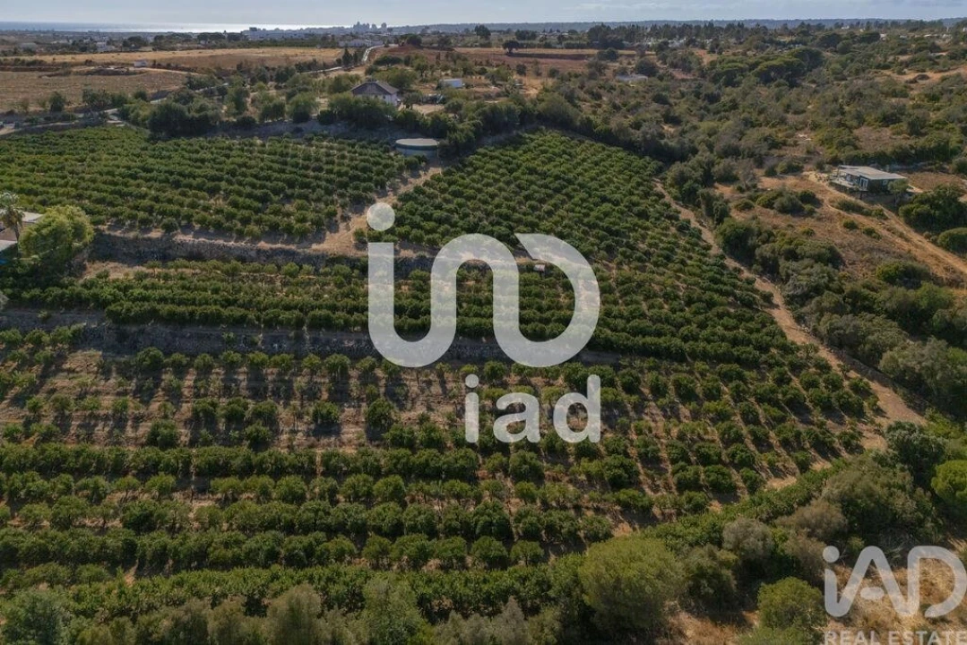 Moradia T1 para Venda em Alcantarilha e Pêra Foto 20