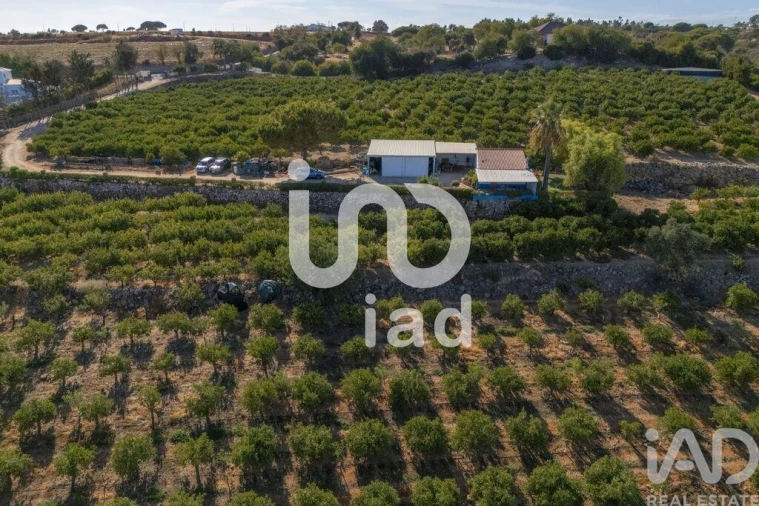 Moradia T1 para Venda em Alcantarilha e Pêra Foto 23