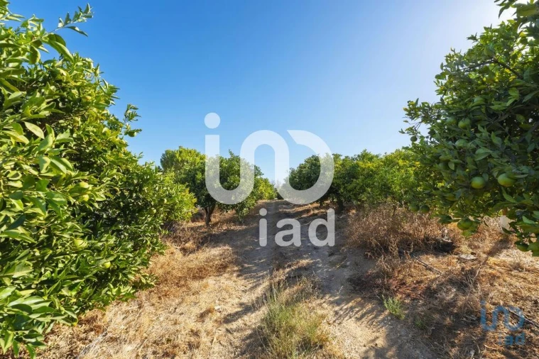 Moradia T1 para Venda em Alcantarilha e Pêra Foto 9