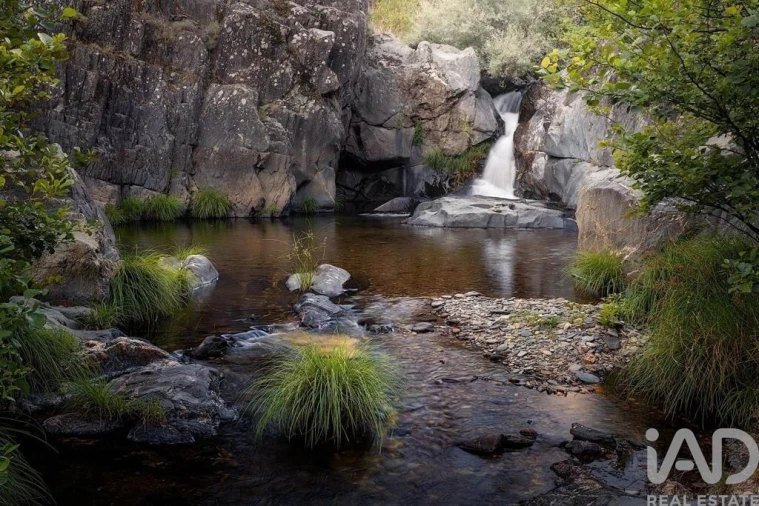 Moradia T2 para Venda em Sobreira Formosa e Alvito da Beira Foto 28