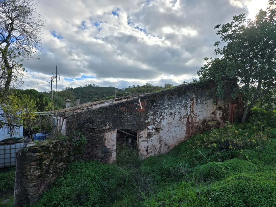 Terreno para Venda em Salir Foto 8