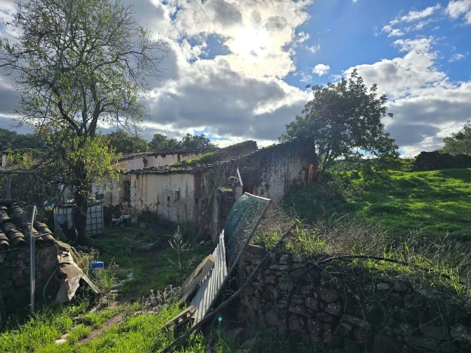 Terreno para Venda em Salir Foto 10