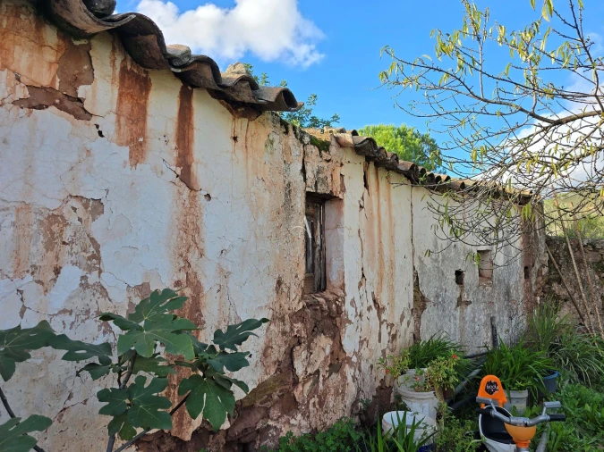 Terreno para Venda em Salir Foto 12