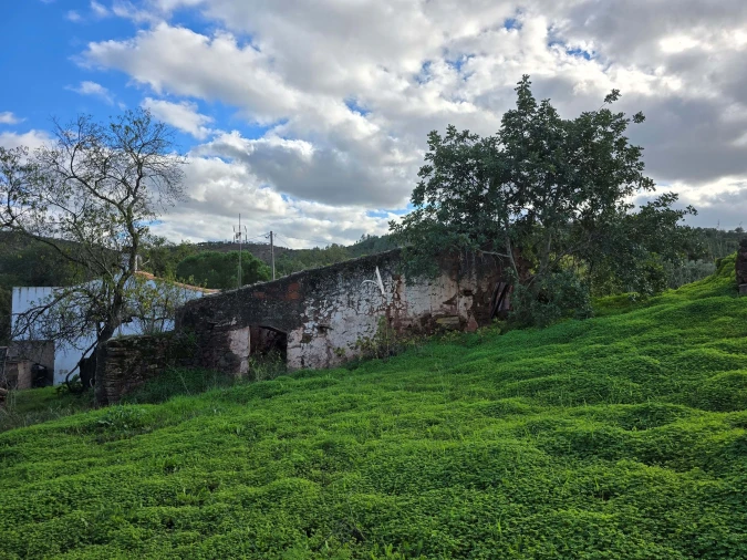 Terreno para Venda em Salir Foto 7