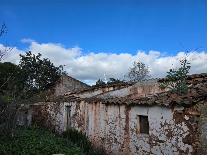 Terreno para Venda em Salir
