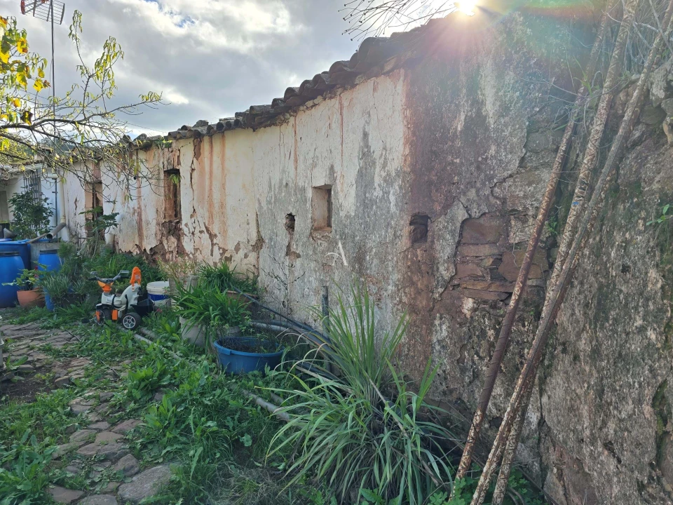 Terreno para Venda em Salir Foto 9