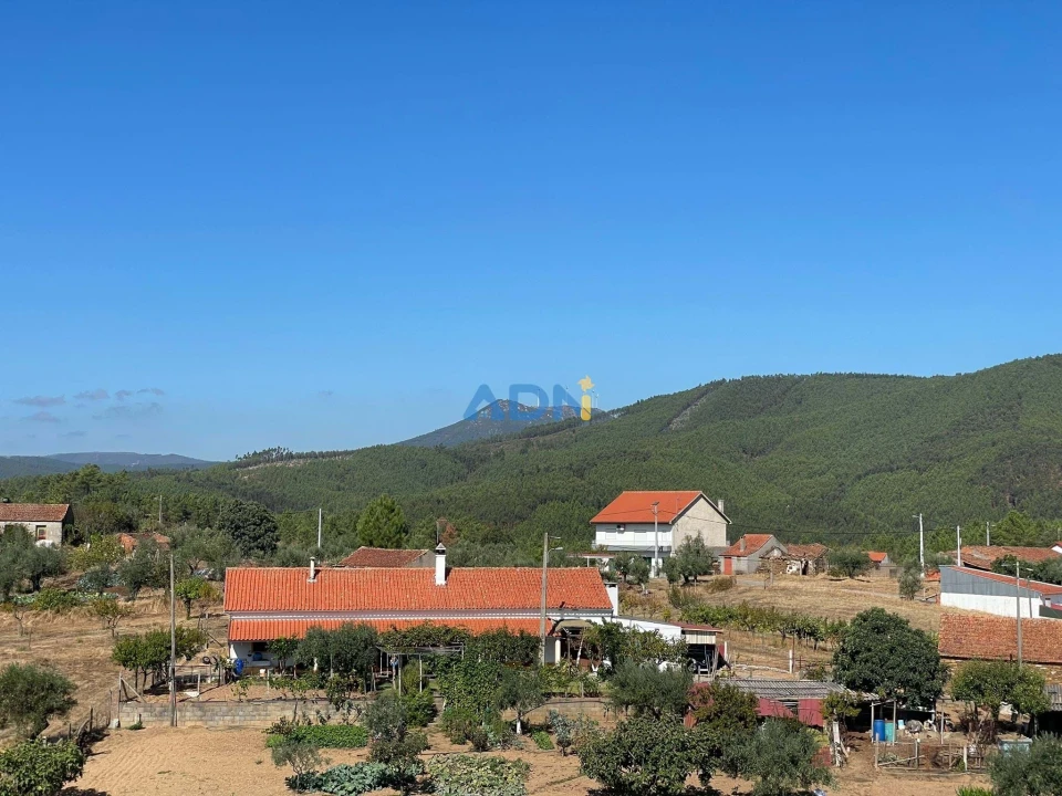 Moradia T4 para Venda em Sarzedas Foto 58