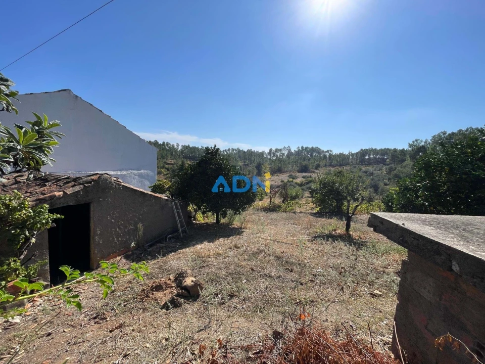 Moradia T4 para Venda em Sarzedas Foto 54