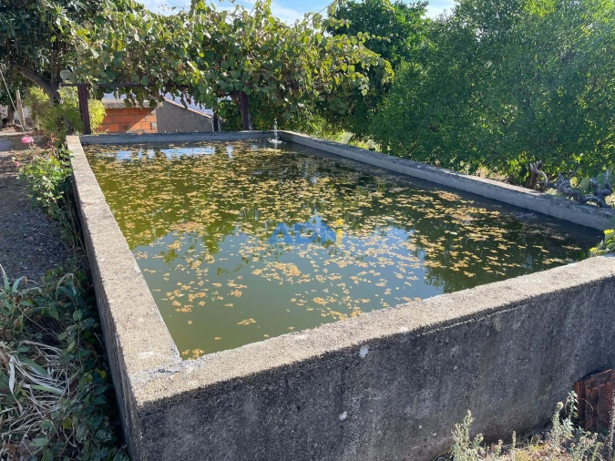 Moradia T4 para Venda em Sarzedas Foto 52