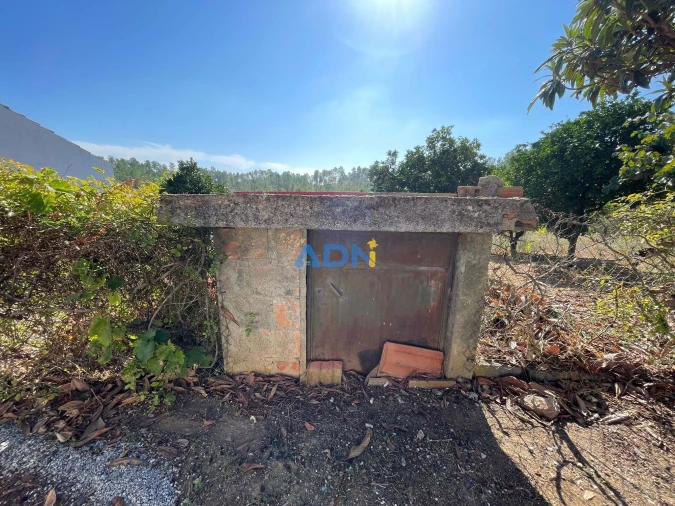 Moradia T4 para Venda em Sarzedas Foto 53