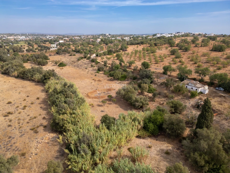 Terreno para Venda em Ferreiras Foto 4