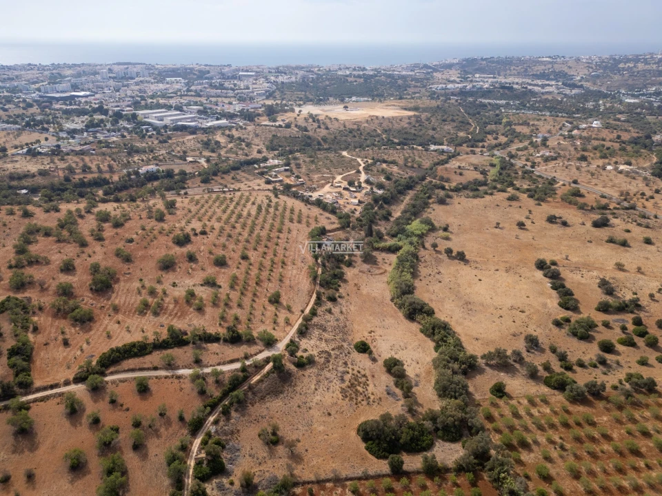 Terreno para Venda em Ferreiras Foto 3