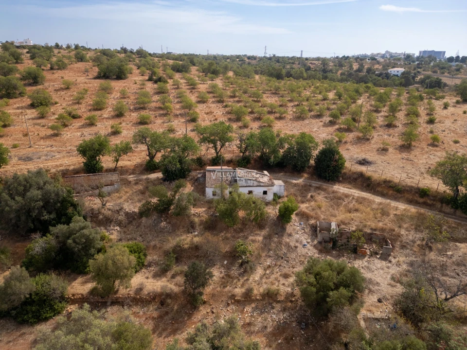 Terreno para Venda em Ferreiras Foto 8