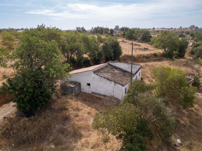 Terreno para Venda em Ferreiras Foto 13