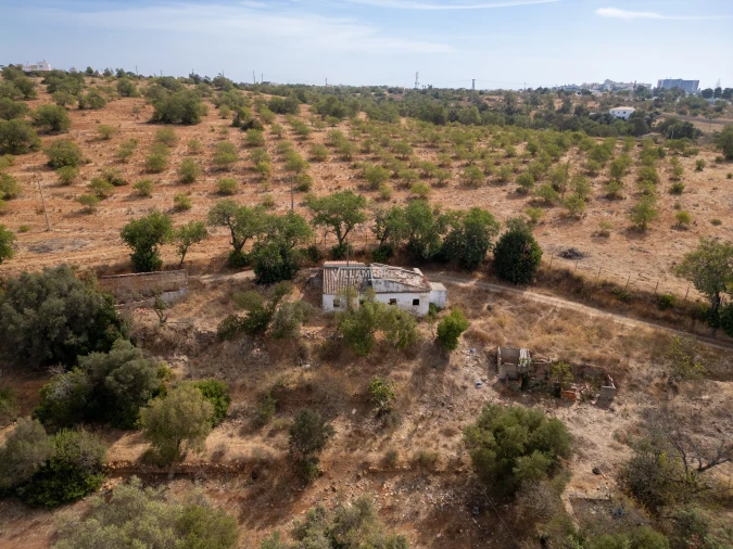 Terreno para Venda em Ferreiras Foto 8