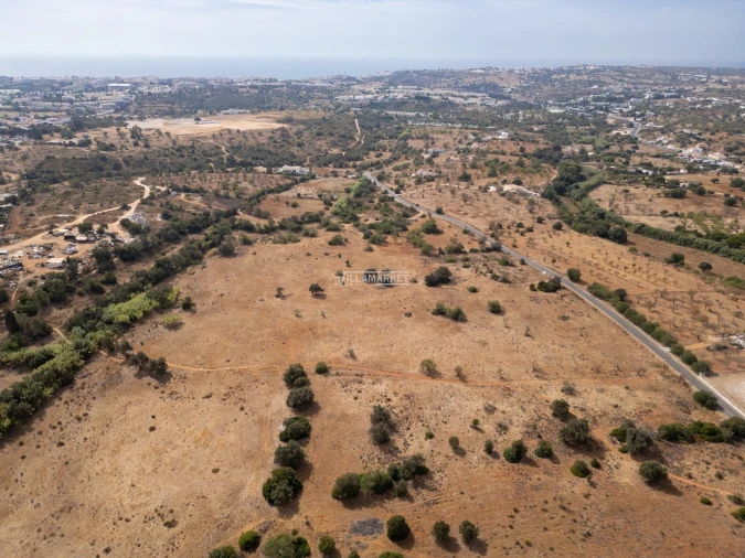 Terreno para Venda em Ferreiras Foto 19