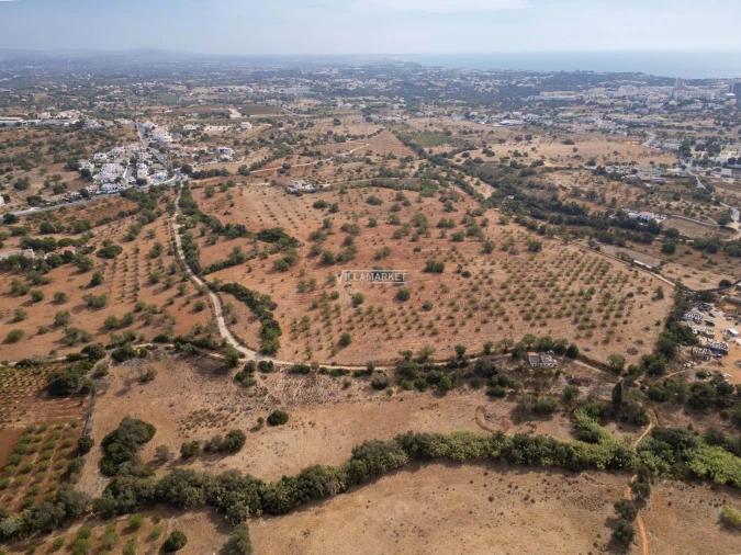 Terreno para Venda em Ferreiras Foto 7