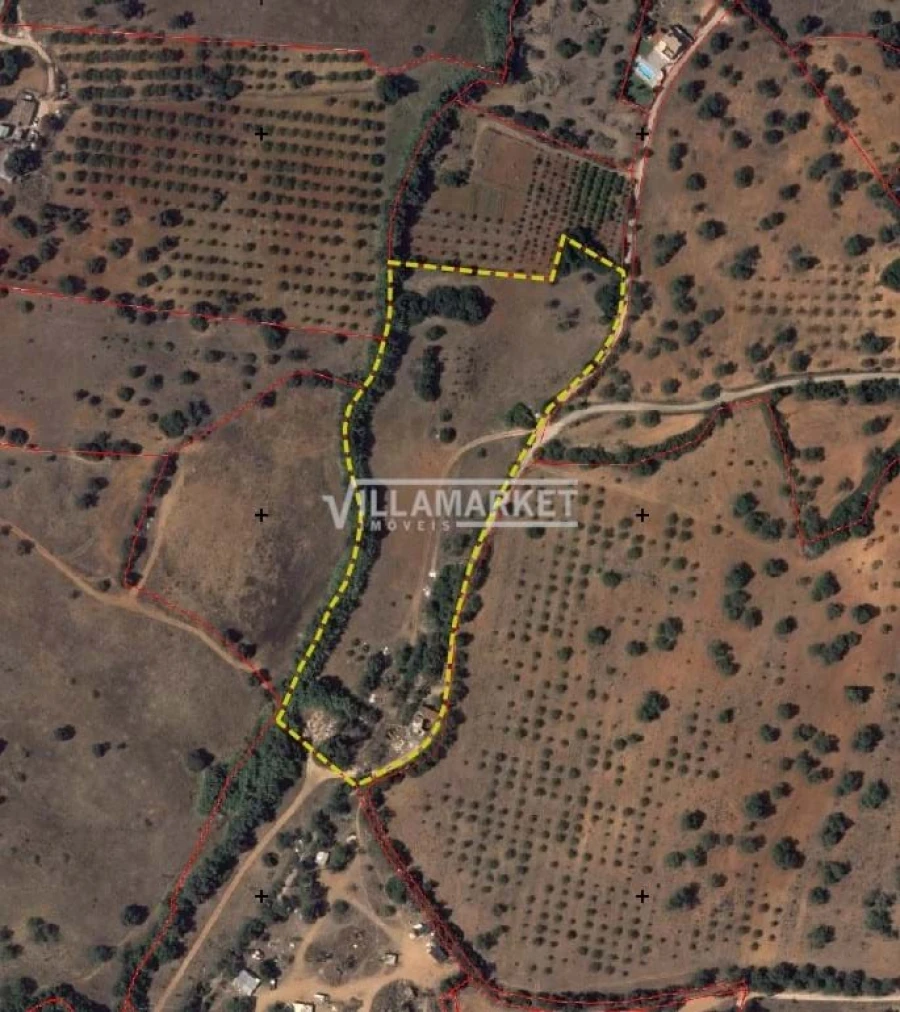 Terreno para Venda em Ferreiras Foto 1