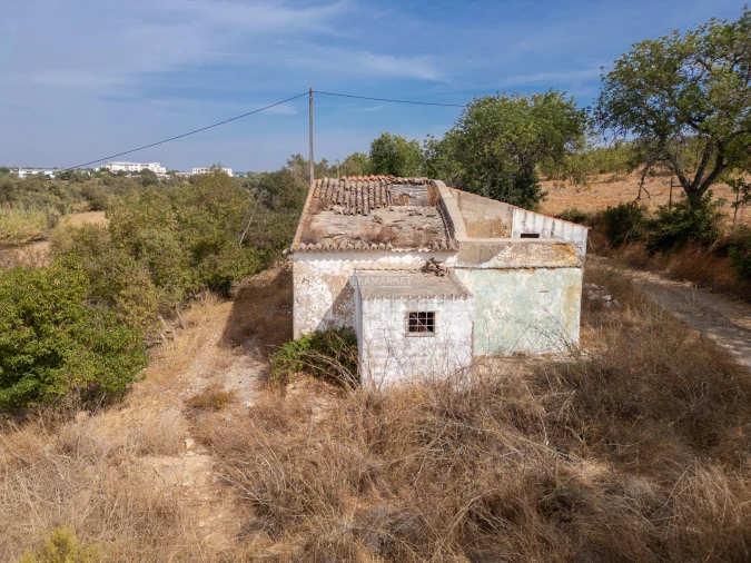 Terreno para Venda em Ferreiras Foto 6